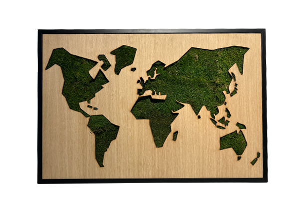 100x70 Tableau Végétal Map Monde
