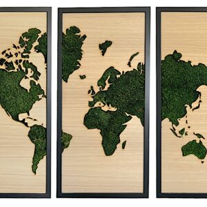 Triptyque végétal avec dessin de la carte du monde