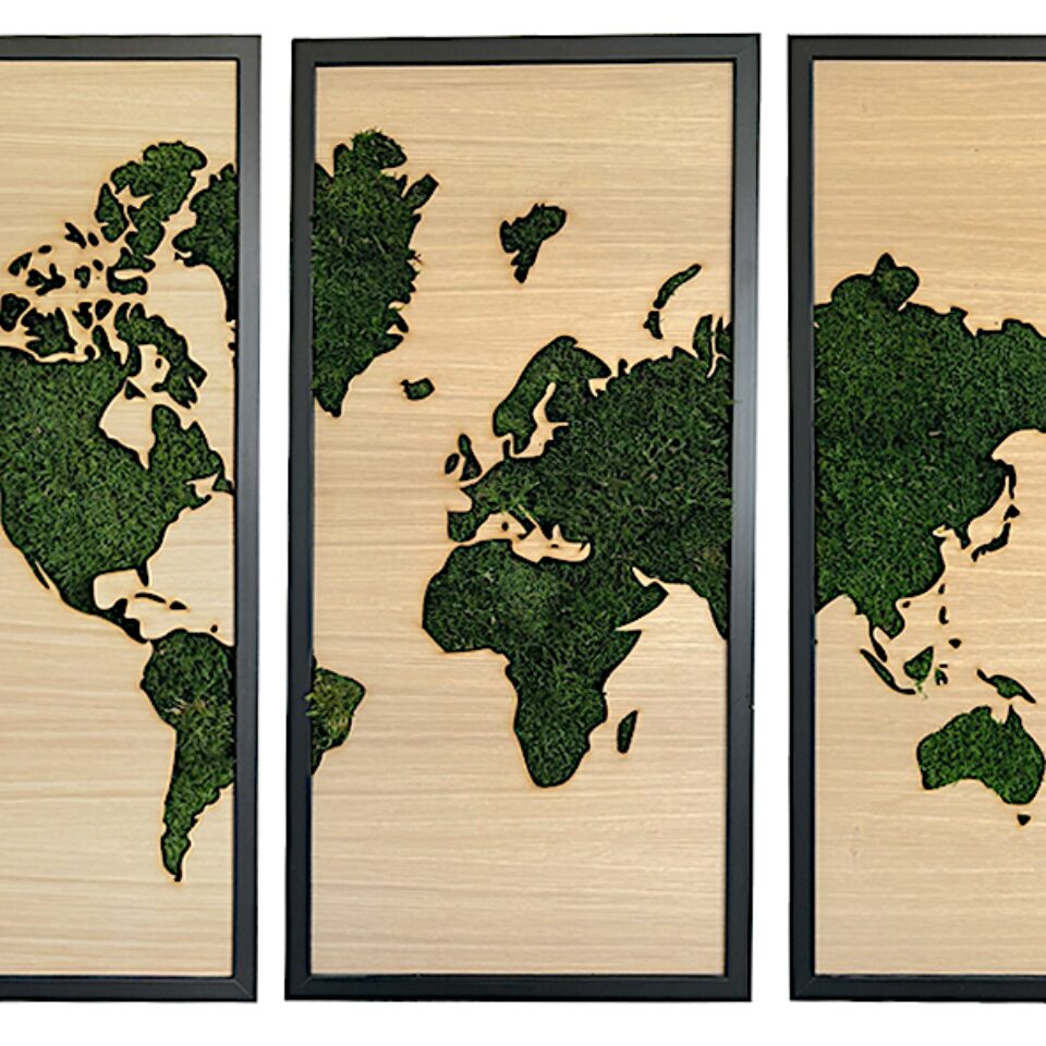 Triptyque Map Monde Mousse