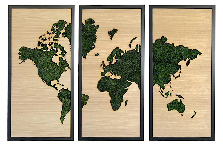 Triptyque végétal avec dessin de la carte du monde