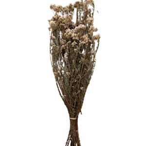 Fleur de Riz Stabilisée blanc