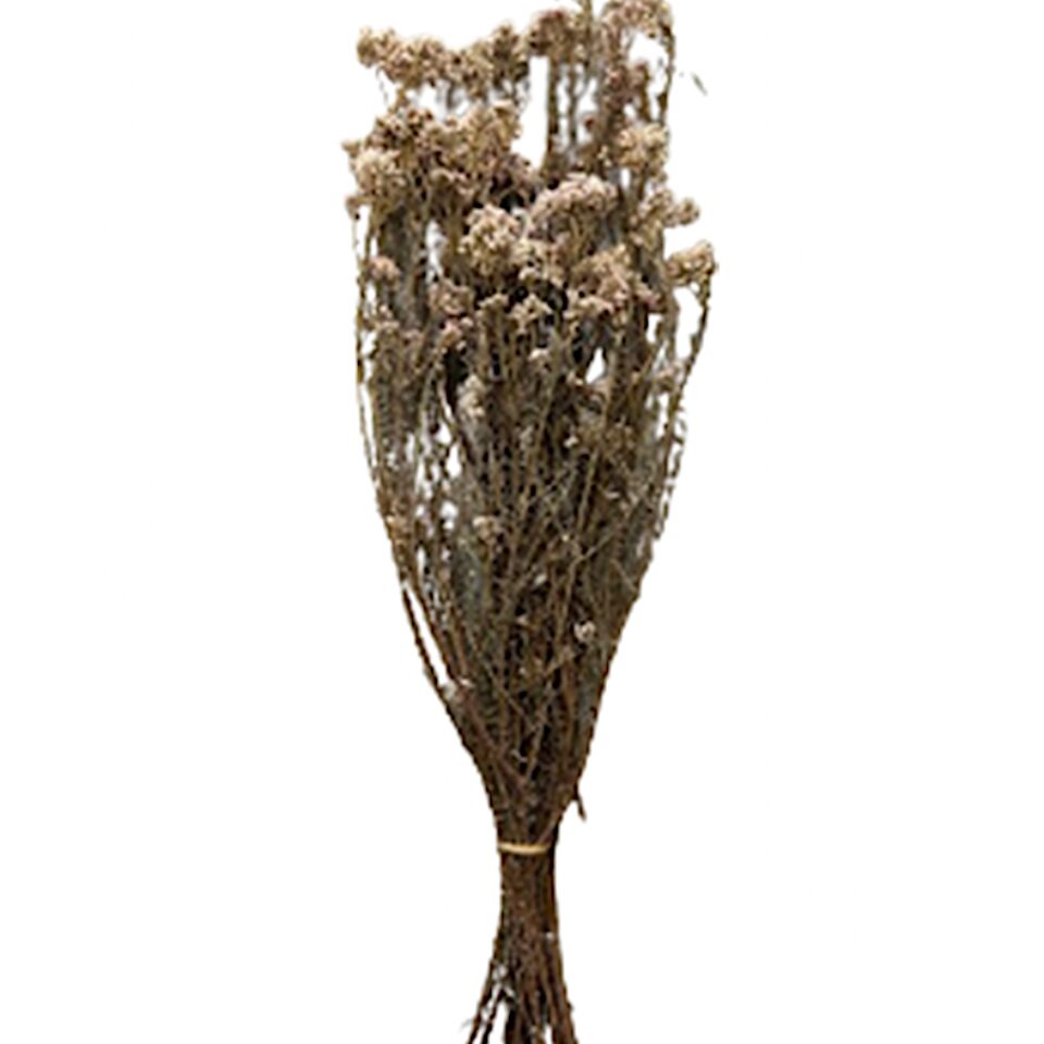 Fleur de Riz Stabilisée