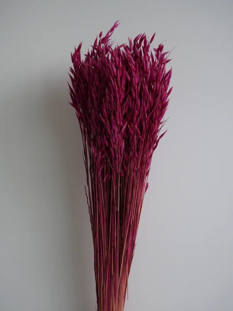 Avoine séché rose bouquet