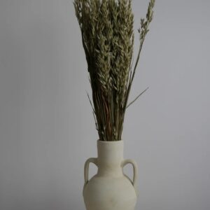 Avoine séché naturel décoration