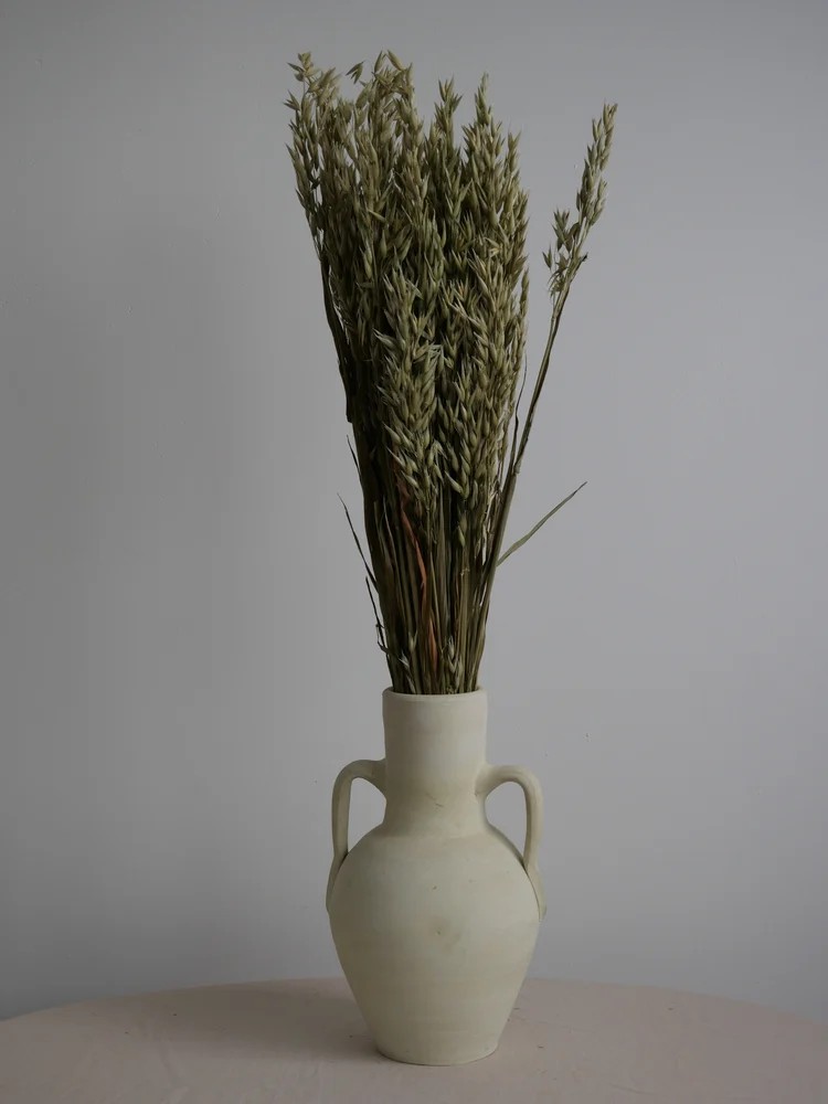 Avoine séché naturel décoration