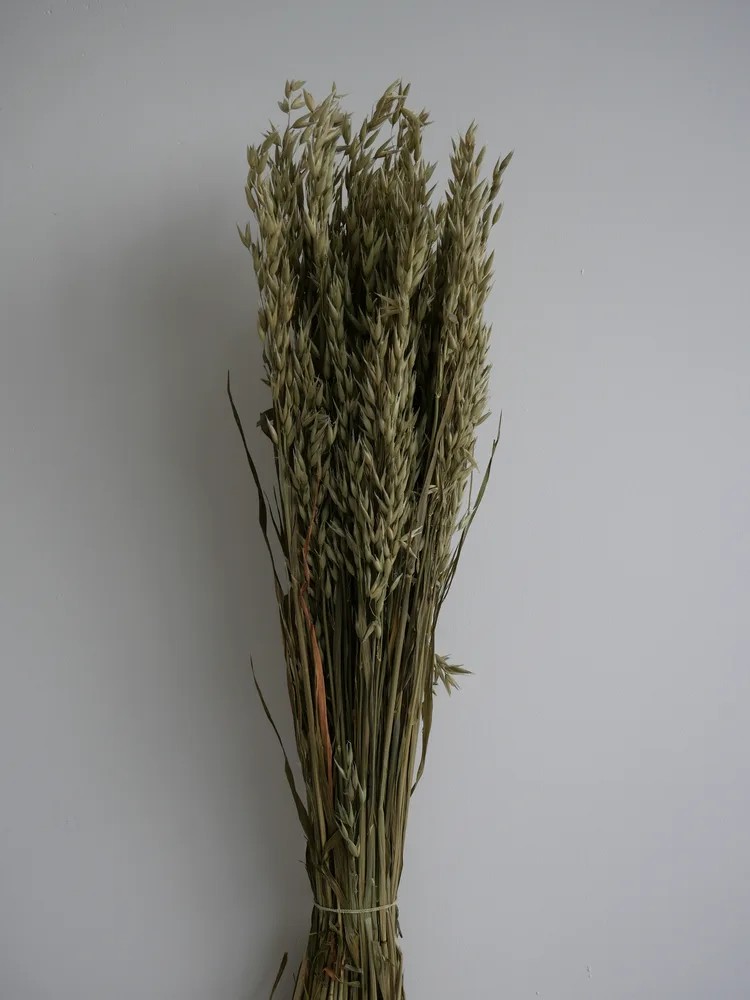 Avoine séché naturel