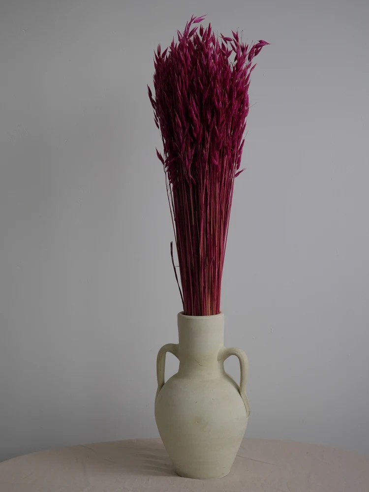 Avoine séché rose