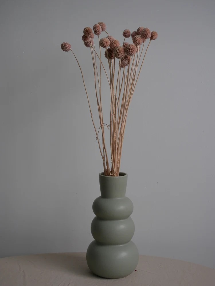 Craspedia stabilisée rose décoration
