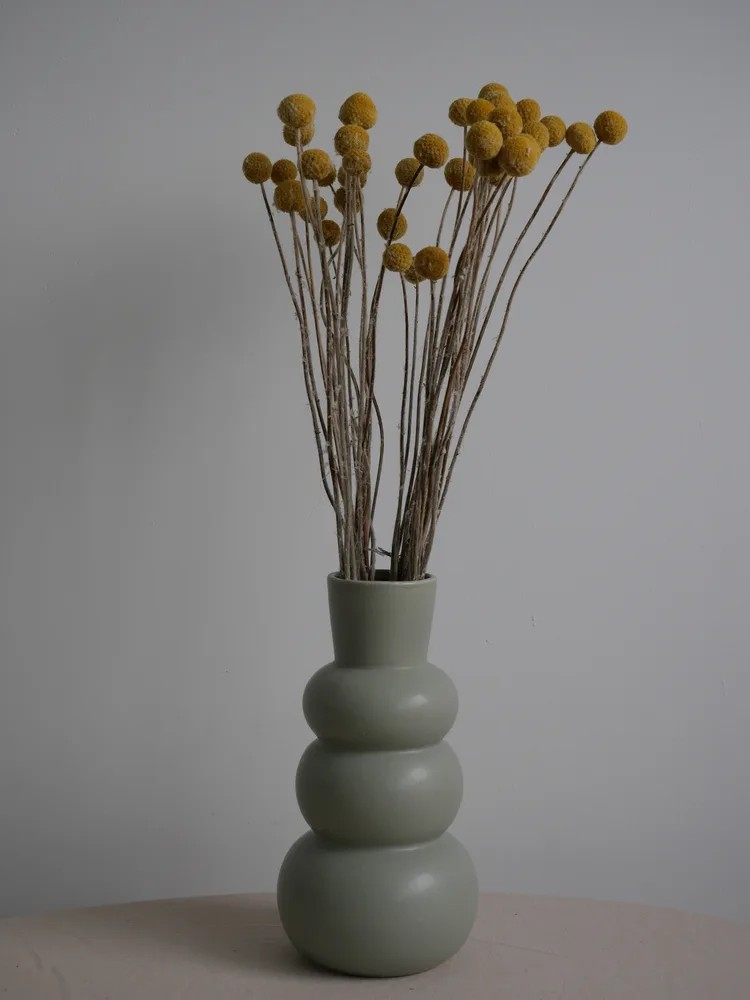 Craspedia stabilisée jaune décoration