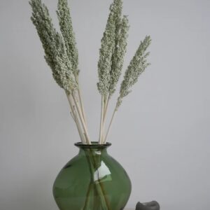 Sorghum Stabilisé vert