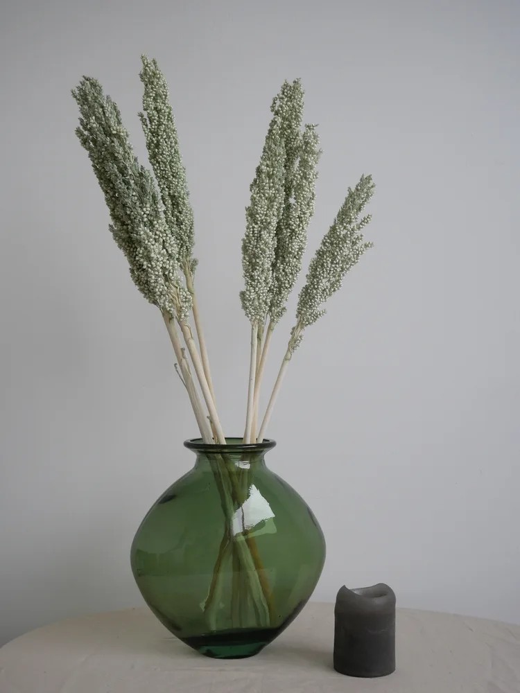 Sorghum Stabilisé vert