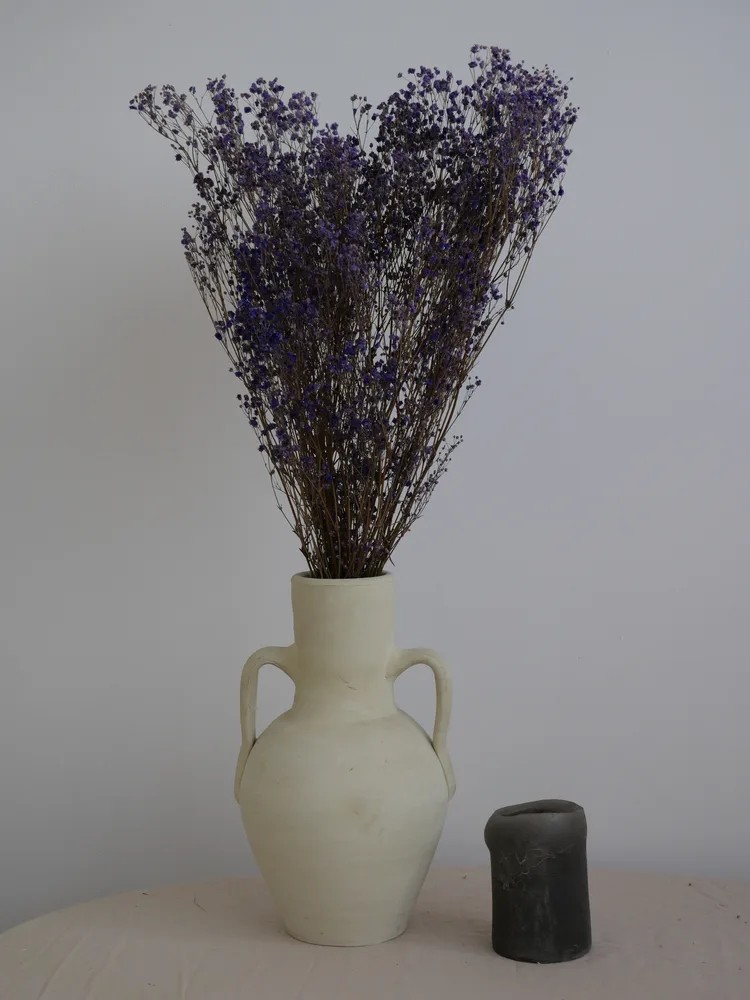 Gypsophile stabilisé violet