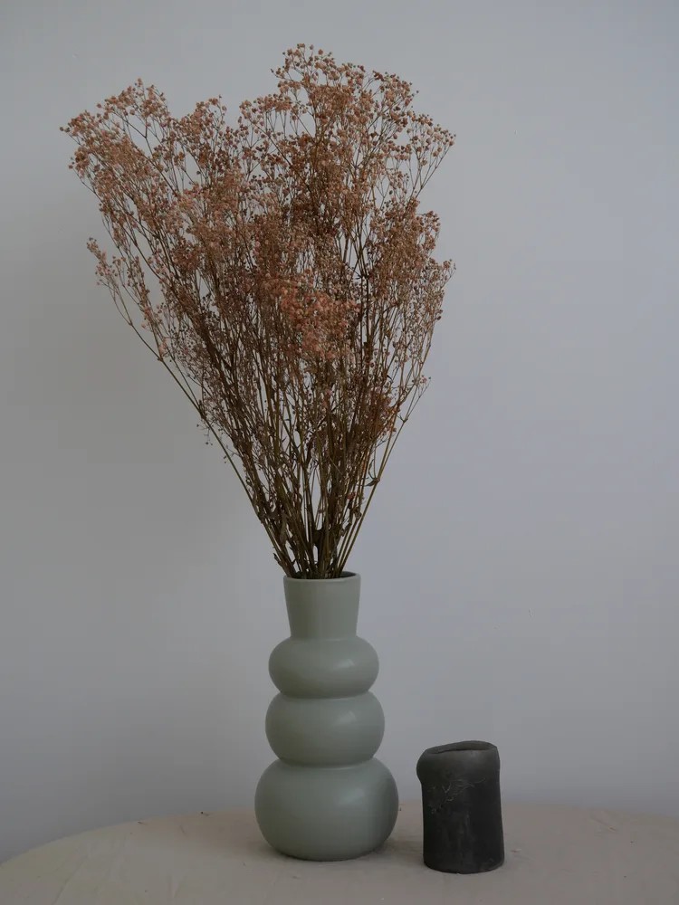 Gypsophile stabilisé saumon