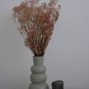 Gypsophile stabilisé rose