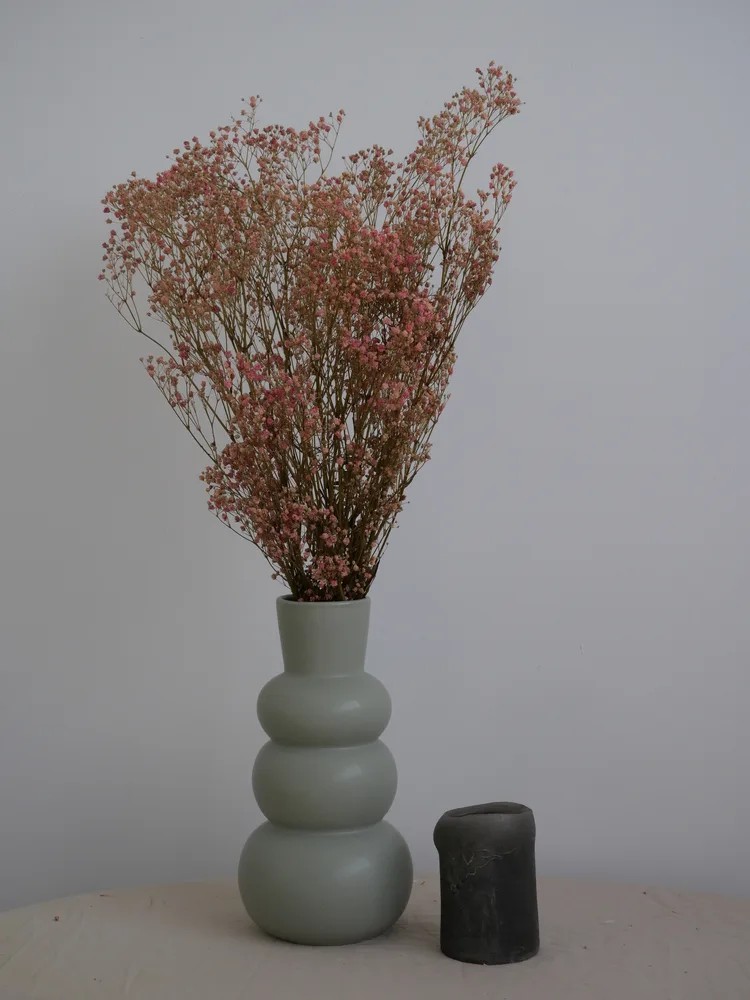 Gypsophile stabilisé rose