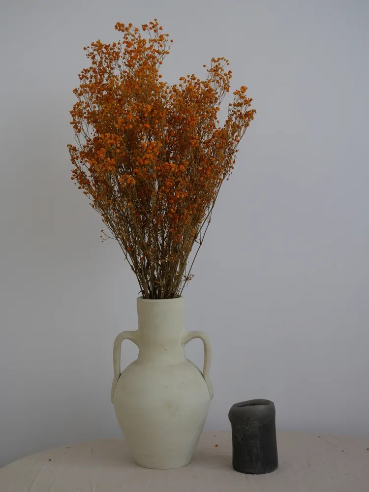 Gypsophile stabilisé orange