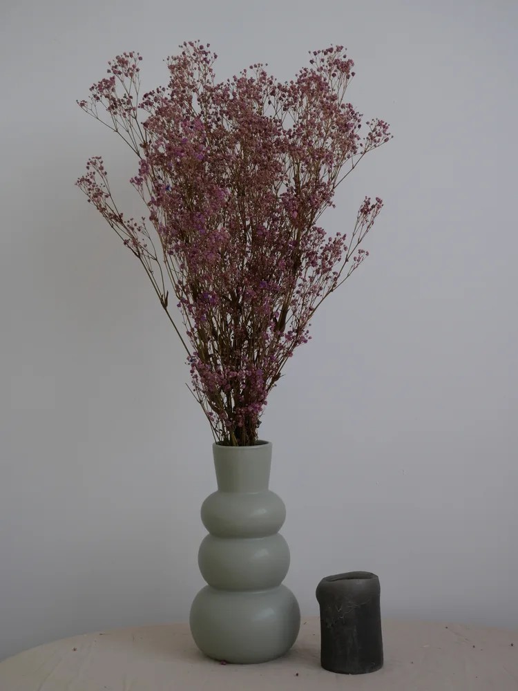 Gypsophile stabilisé lilas