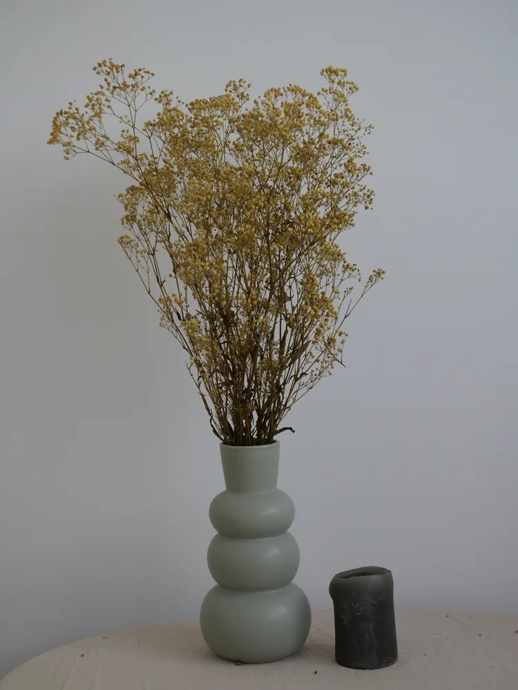 Gypsophile stabilisé jaune
