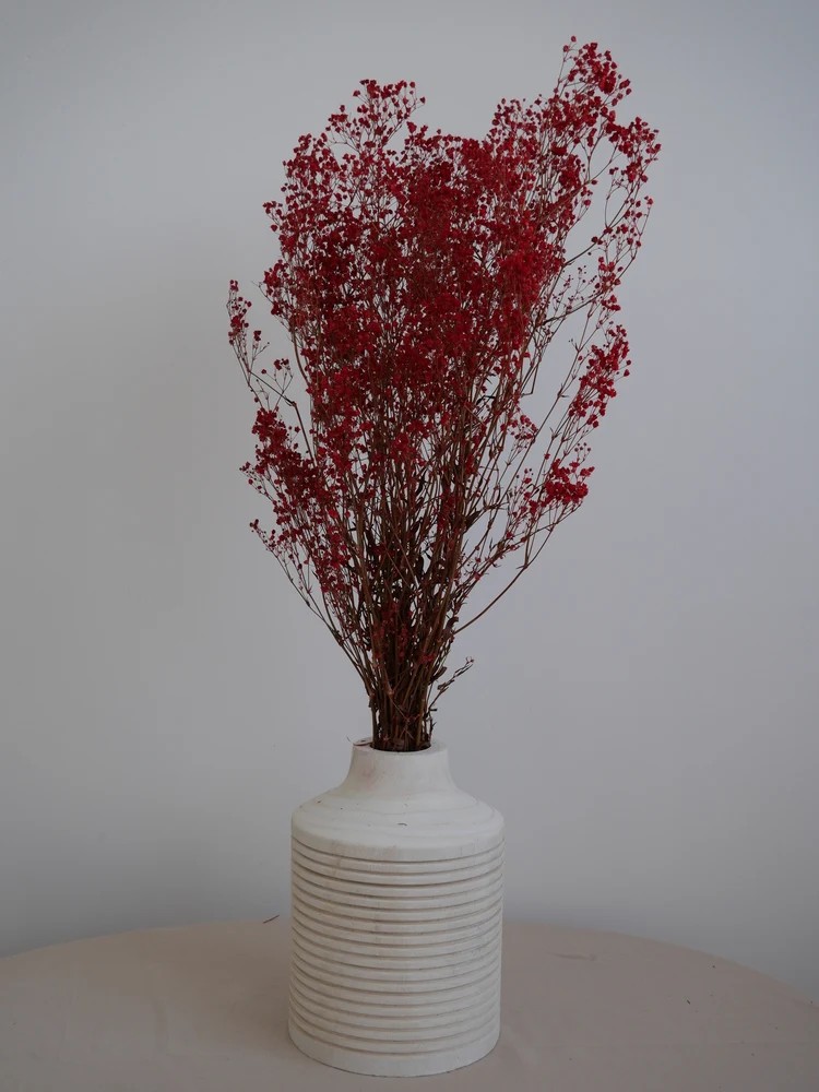 gypsophile rouge stabilisé décoration
