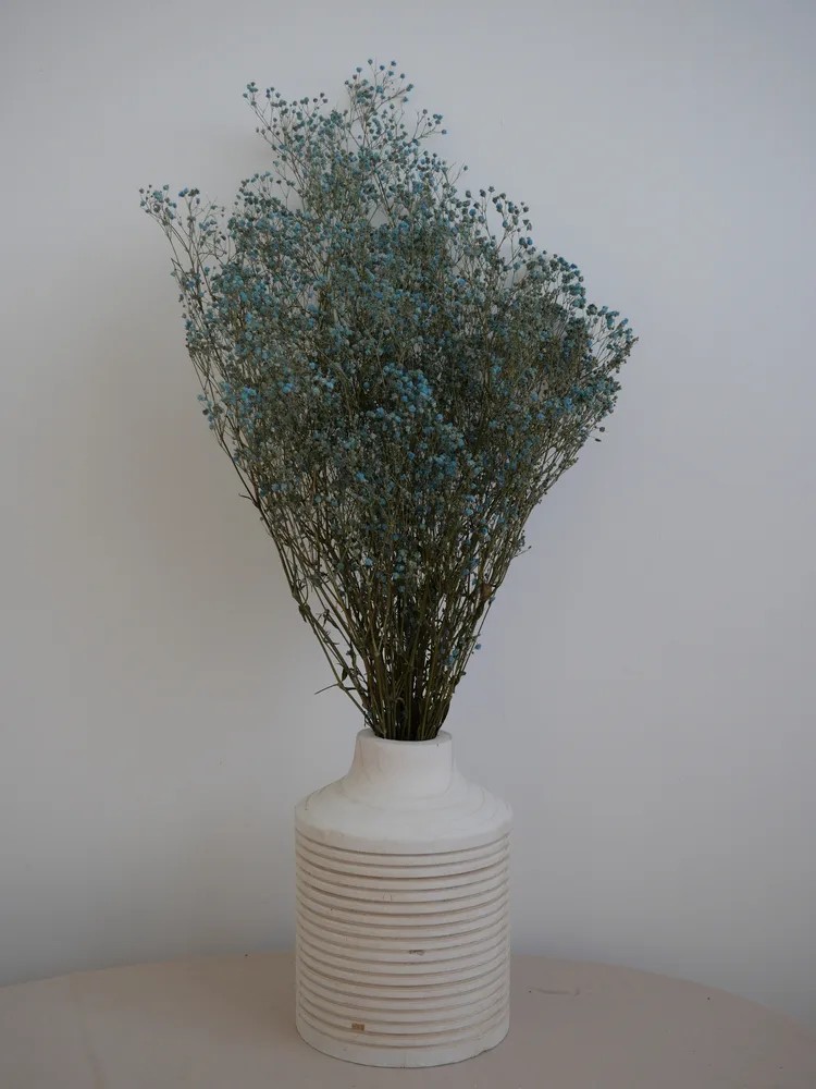 gypsophile bleu stabilisé décoration