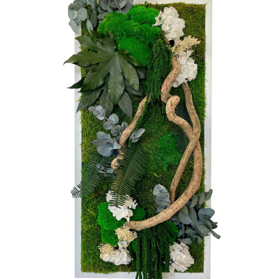 78×38 Tableau Végétal Cascade