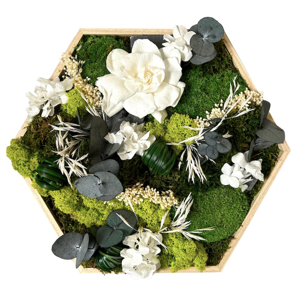 31×31 Hexagone Stabilisé Garden