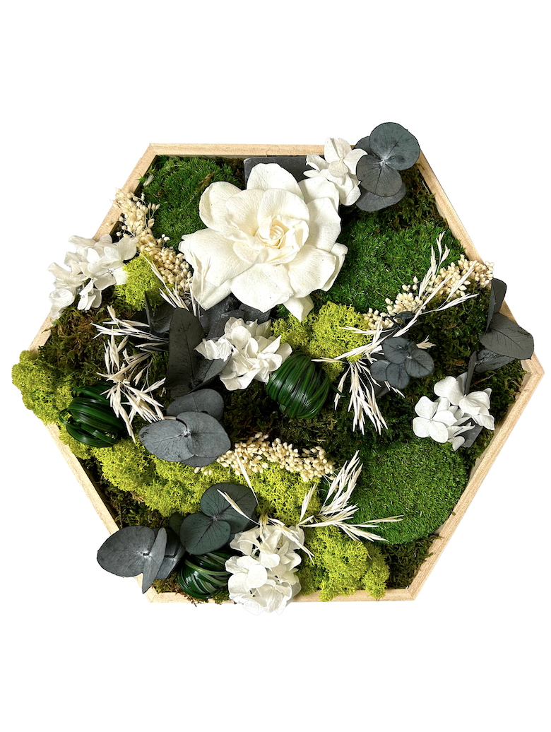 Hexagone végétal avec fleurs blanches