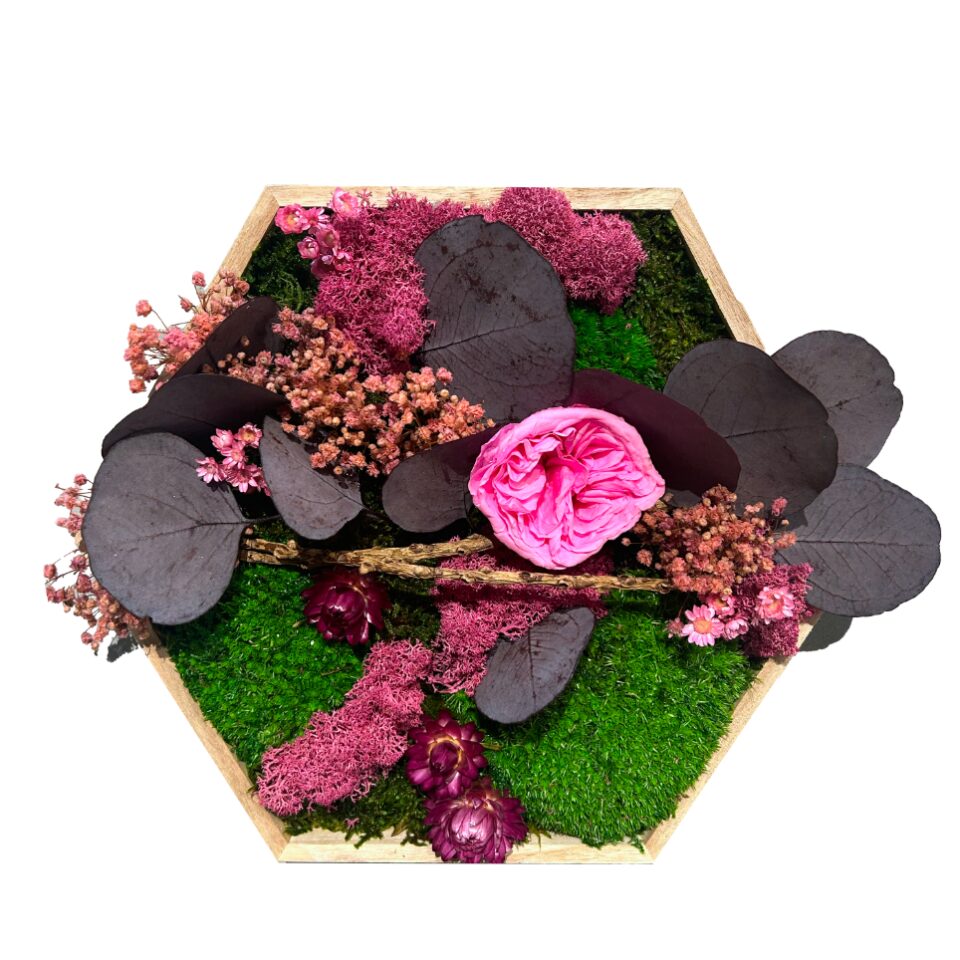 26×26 Hexagone Stabilisé Rosé