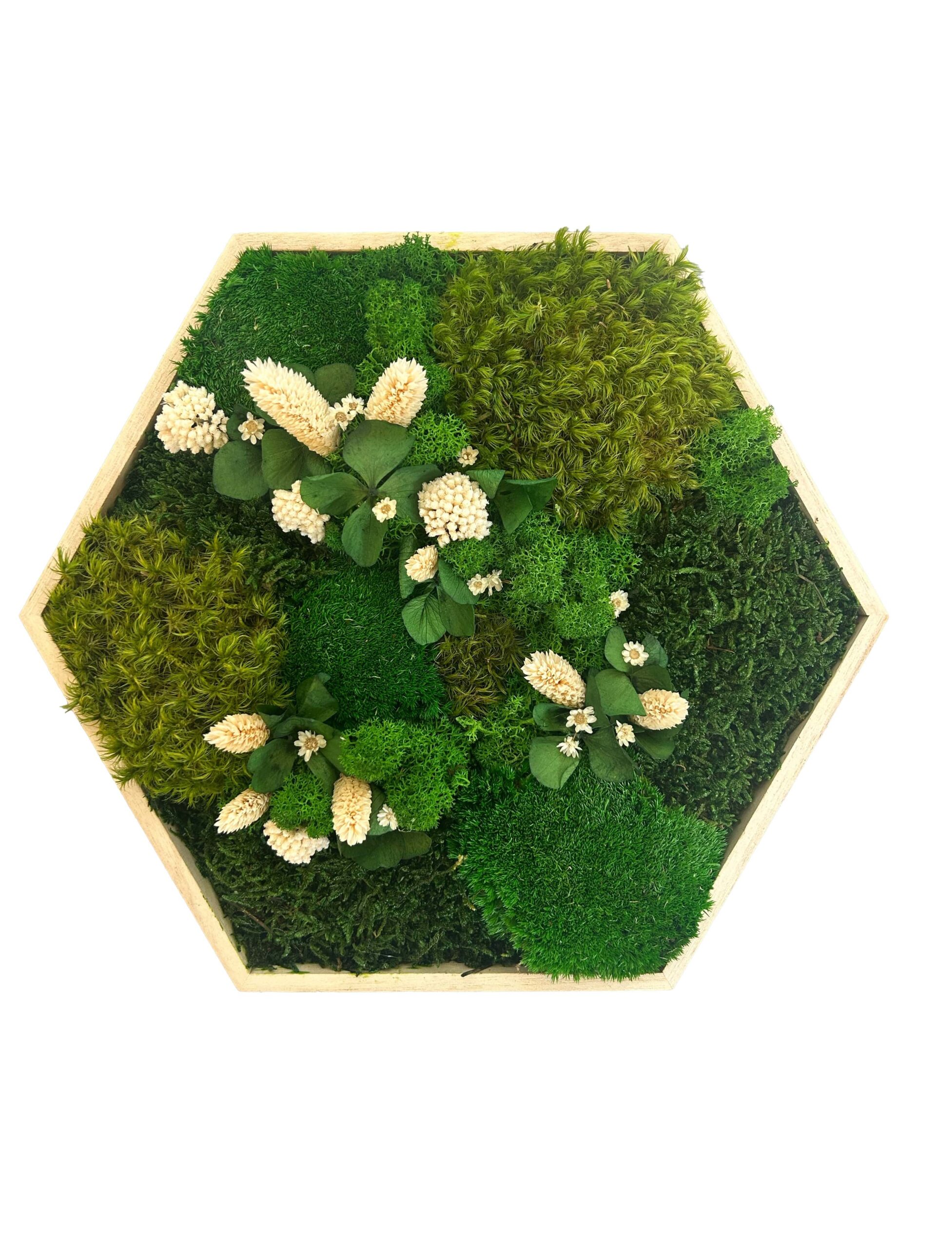 Hexagone végétal avec fleurs blanches