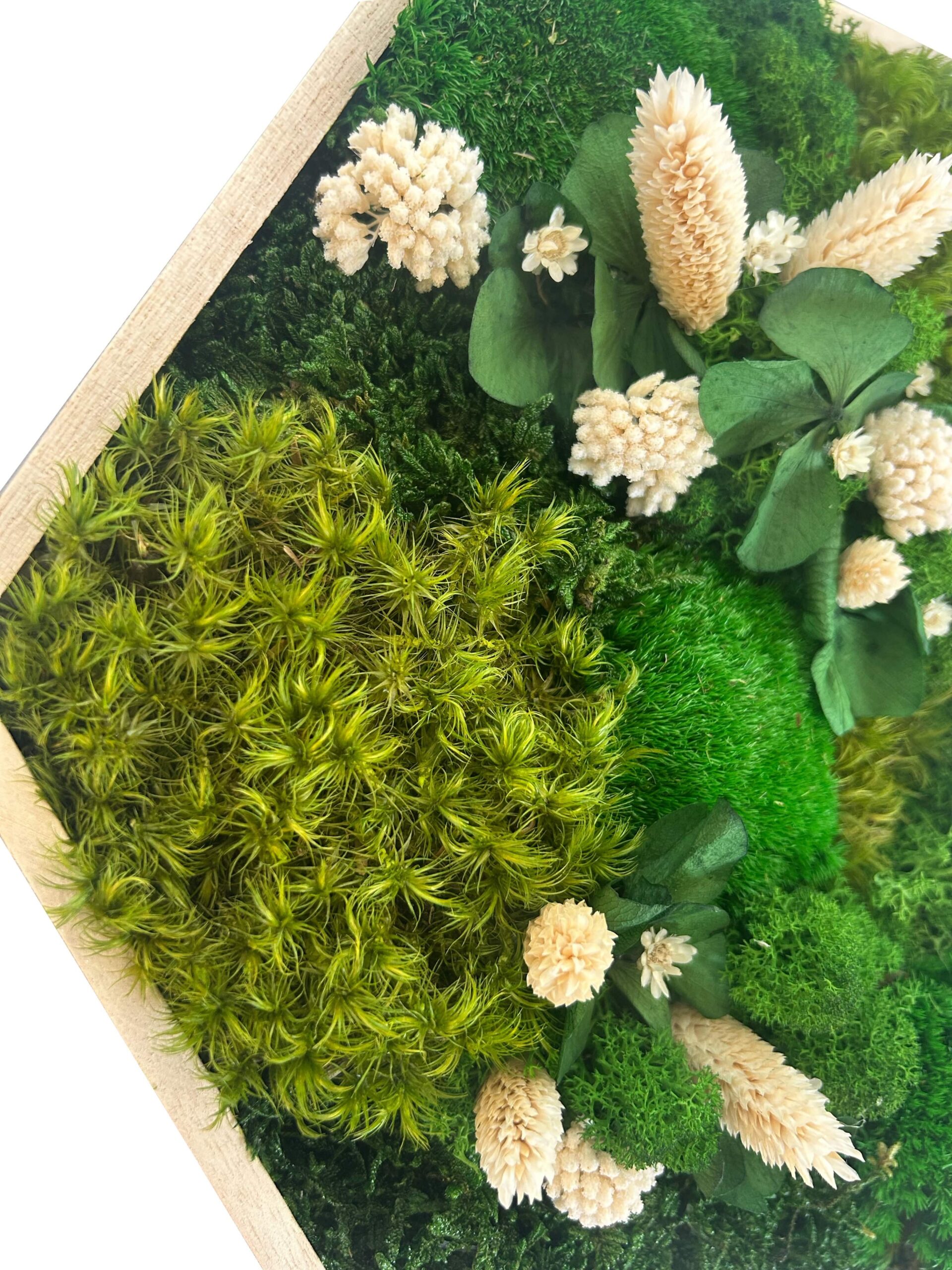 Hexagone végétal avec fleurs blanches