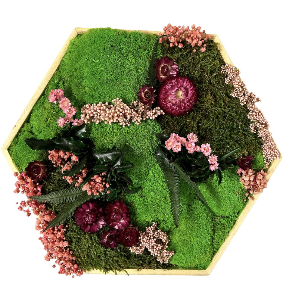 31×31 Hexagone Stabilisé Flowers