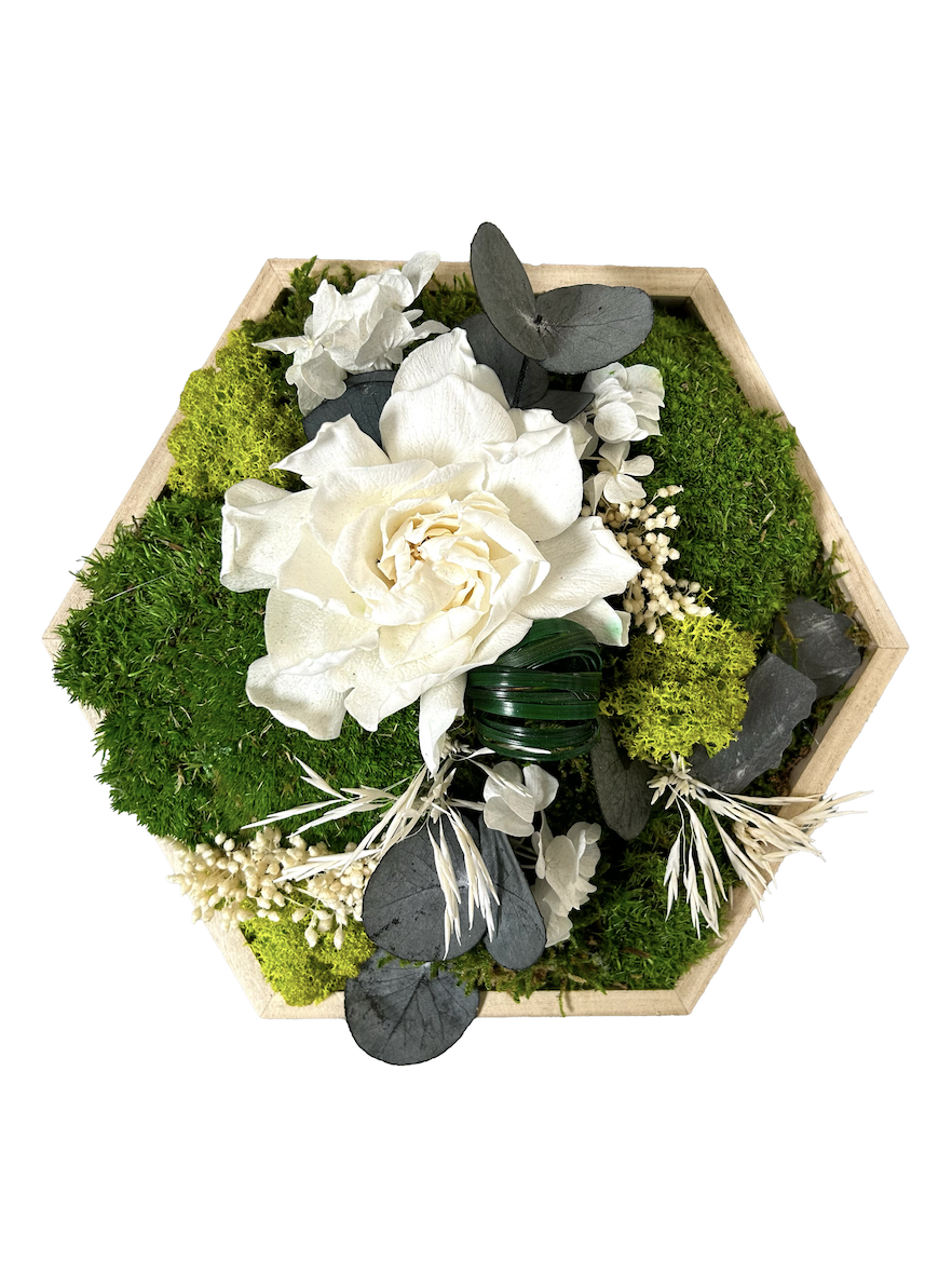 Hexagone végétal stabilisé avec fleurs blanches