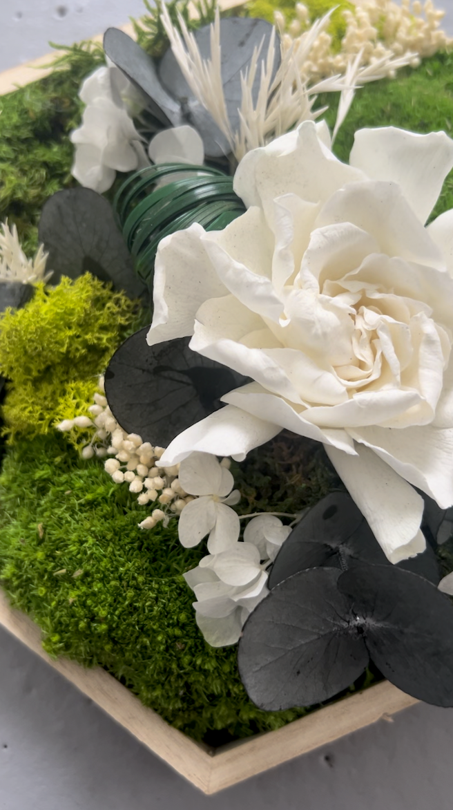 Hexagone végétal stabilisé avec fleurs blanches