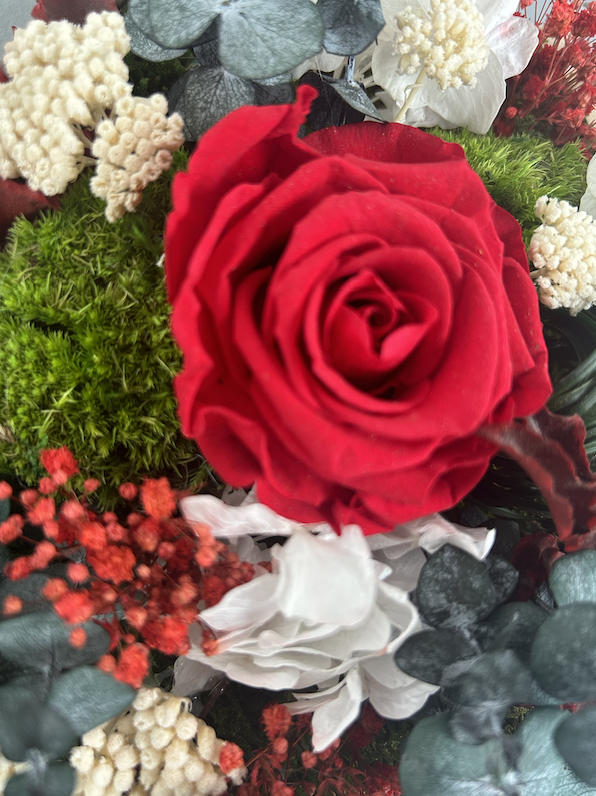 Hexagone végétal stabilisé avec fleurs rouges