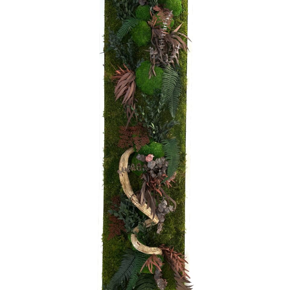 160×40 Tableau Végétal Oasis