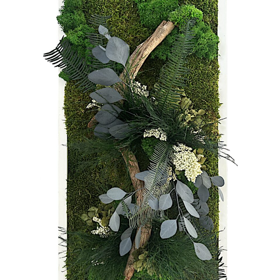 78X38 Tableau Végétal Sorga