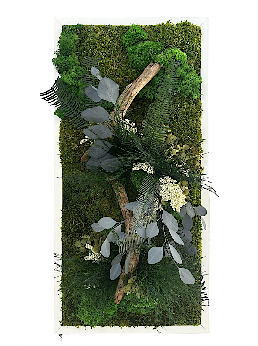 Tableau végétal avec végétaux verts et branche de bois