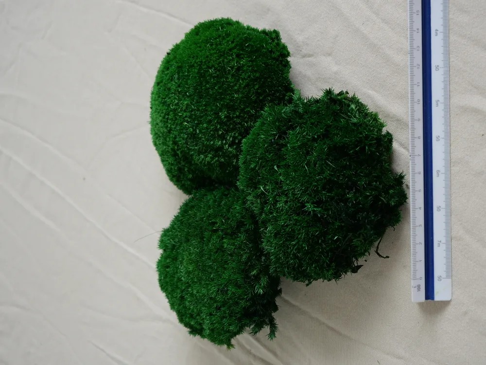 mousse boule vert foncée stabilisé dimensions
