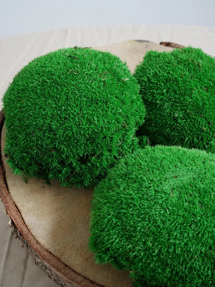 mousse stabilisé vert