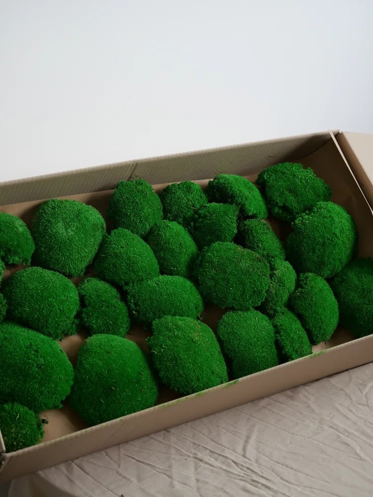 Mousse boule vrac vert claire carton