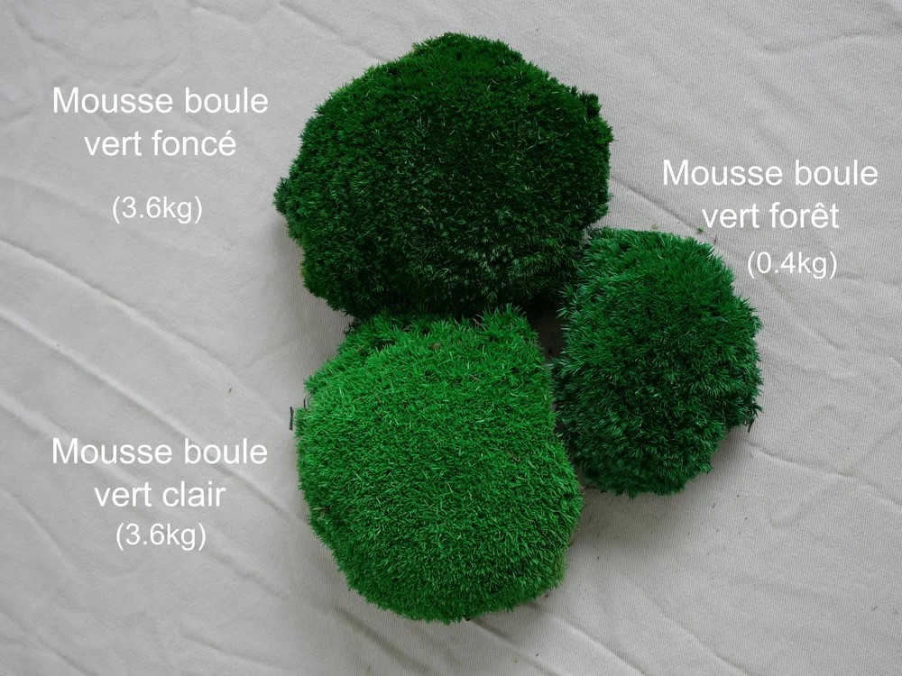 Mousse boule trio