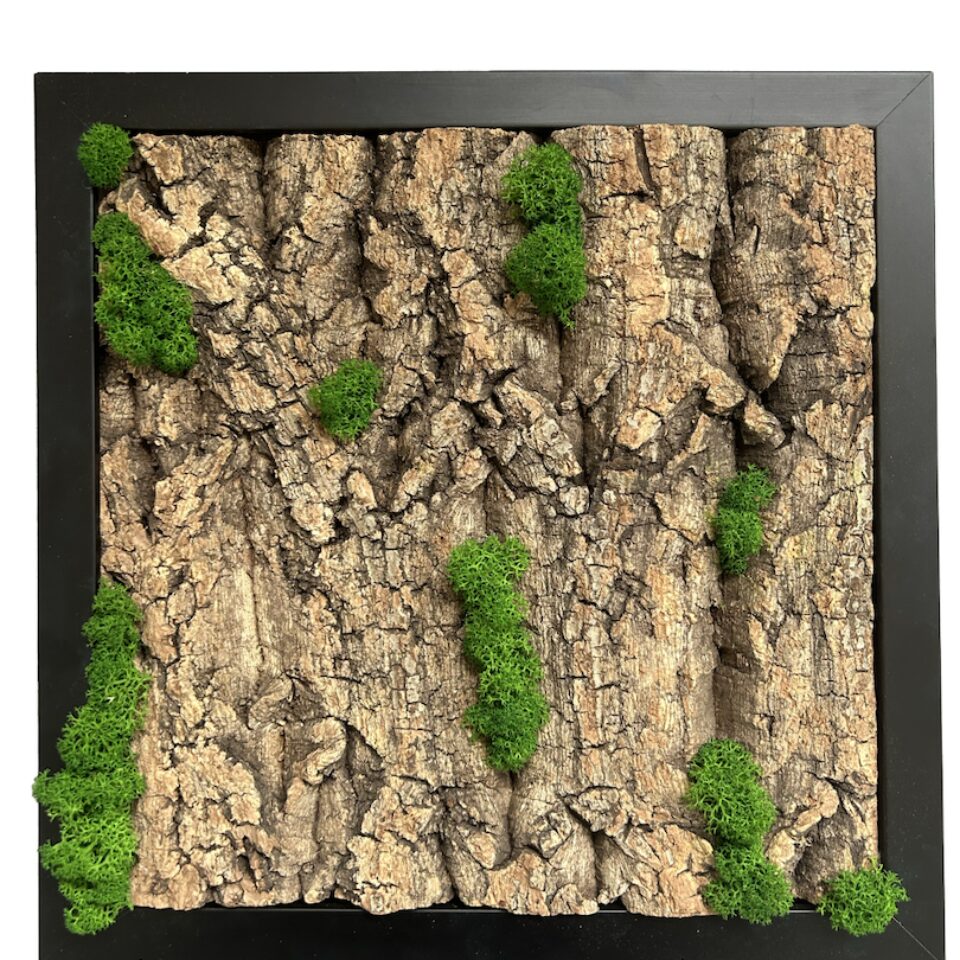 30X30 Tableau Végétal Écorce de Rêve