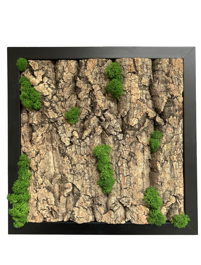 Tableau végétal avec écorce de bois