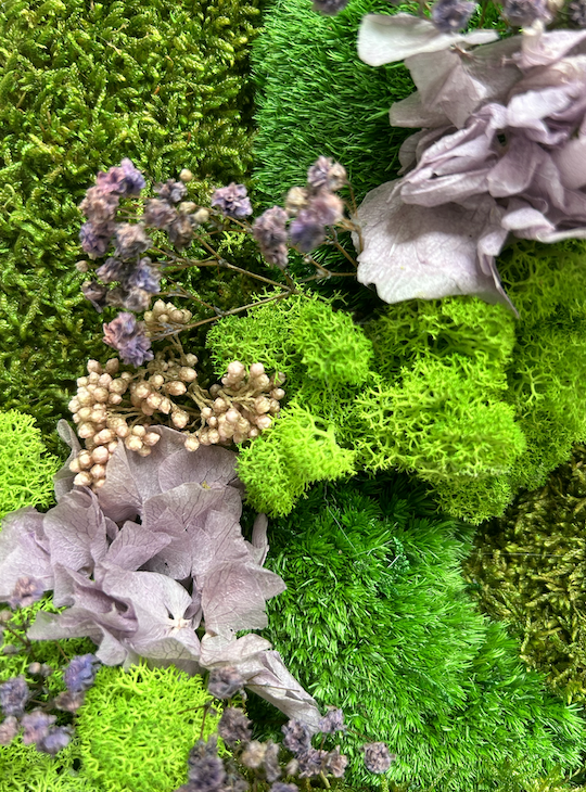 Tableau végétal stabilisé avec feuillages violets et verts