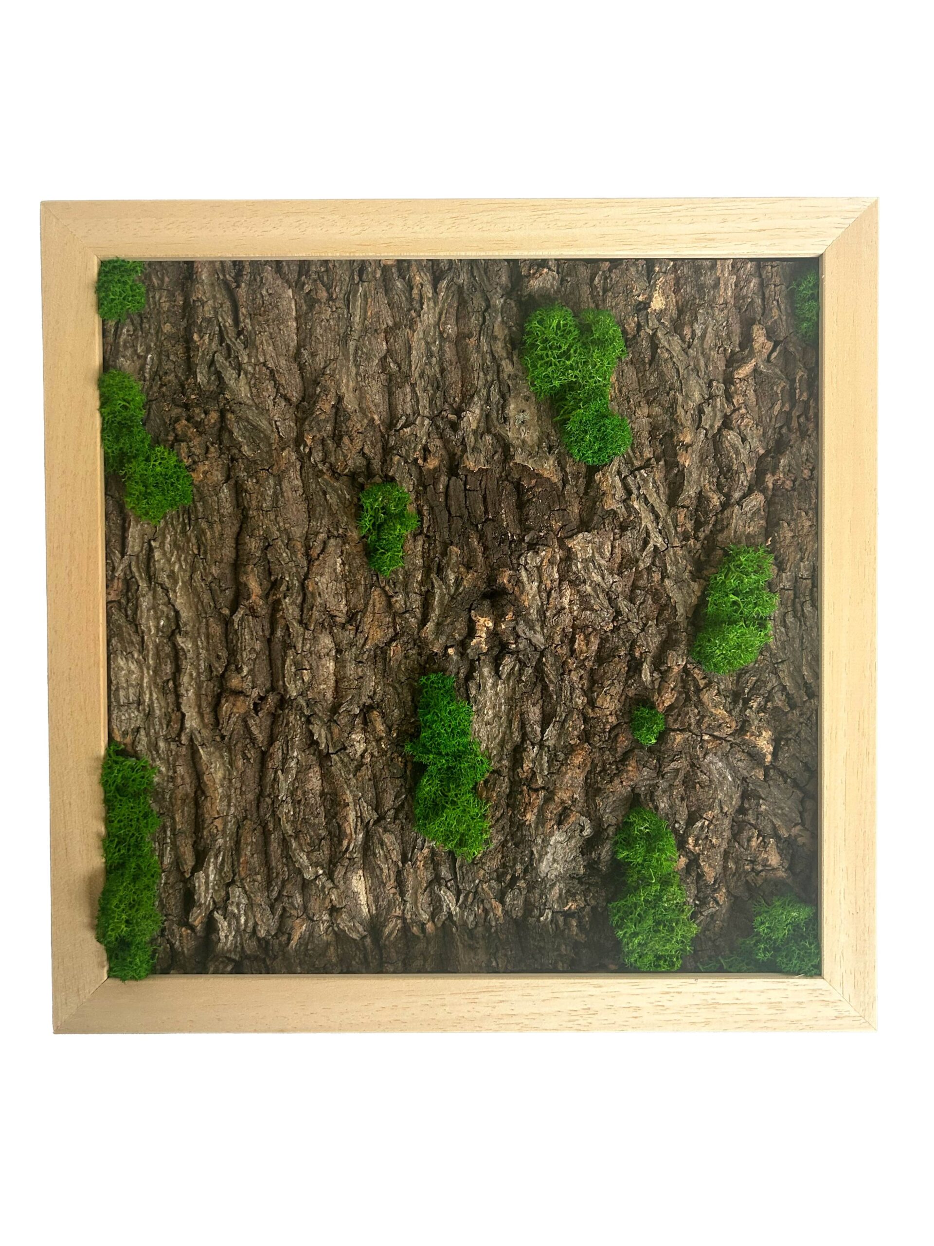 30X30 Tableau Végétal Écorce de Rêve