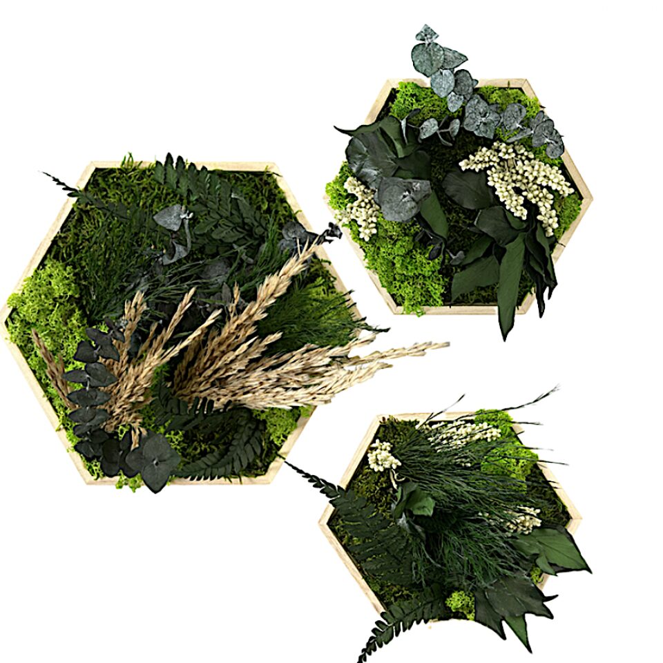 Kit de 3 Hexagones Reliefs