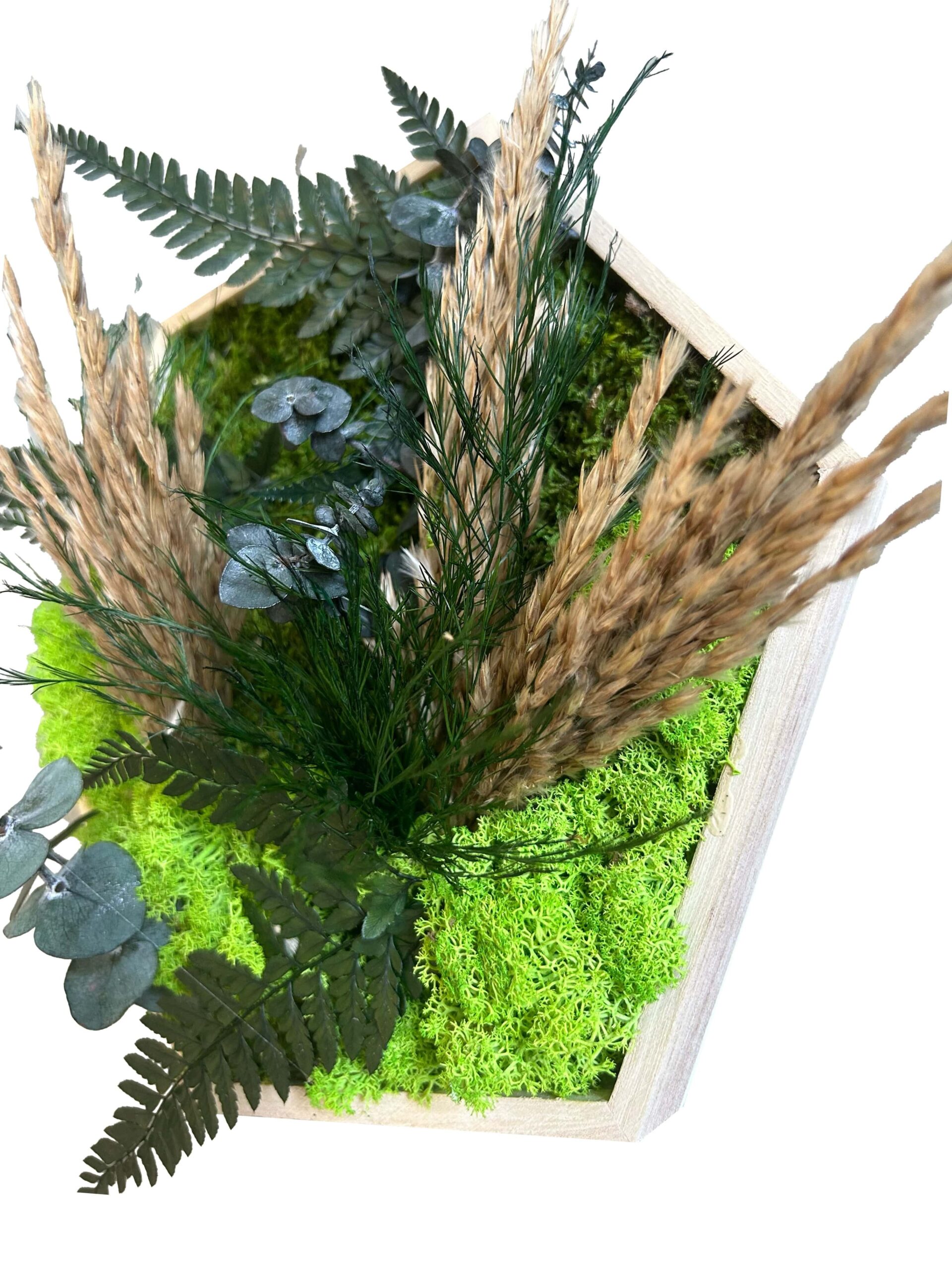 hexagone végétal en relief avec végétaux verts