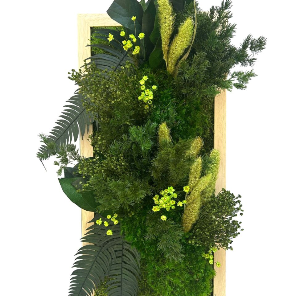50×23 Tableau Végétal Green