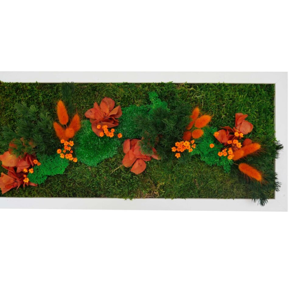50×23 Tableau Végétal Ardent