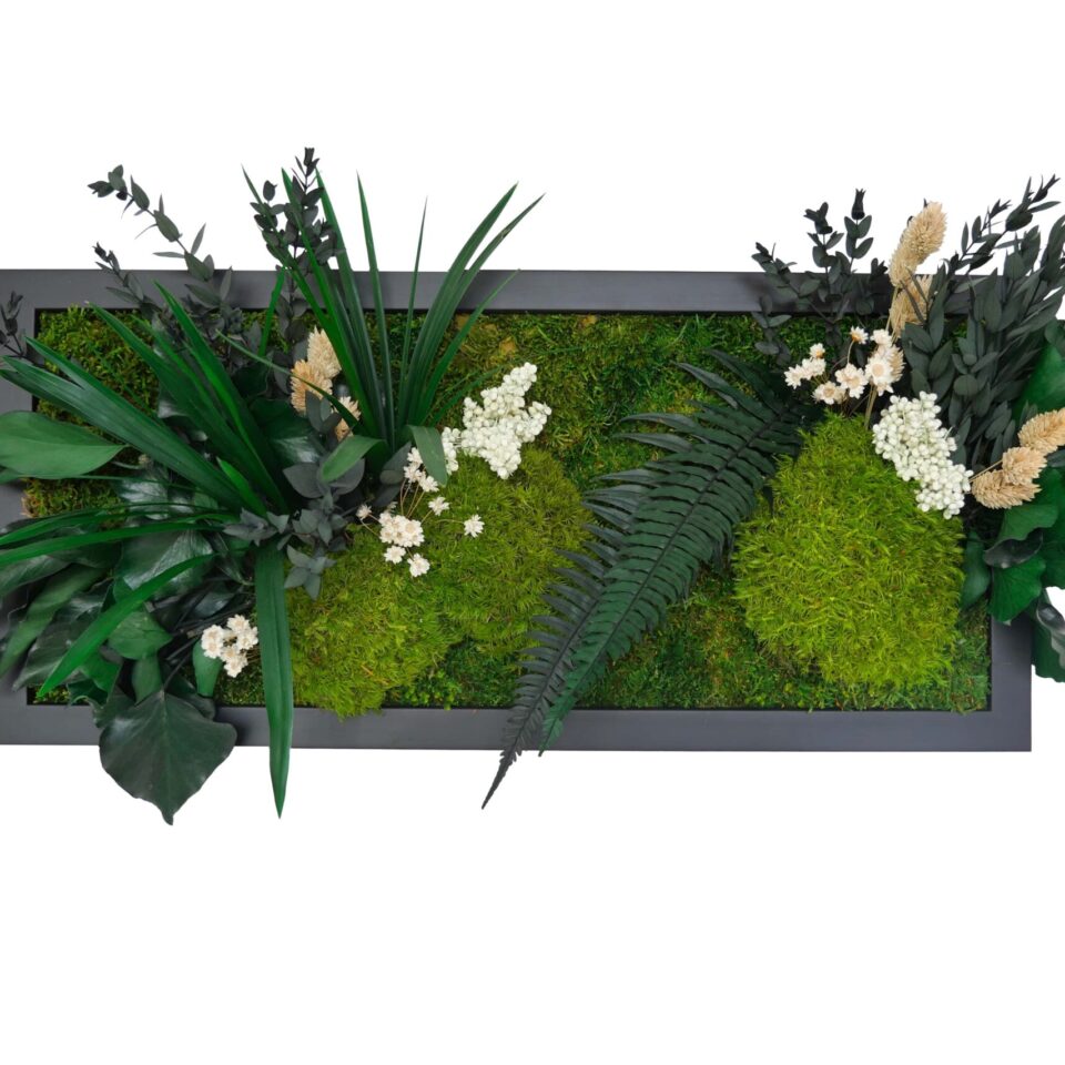 50×23 Tableau Végétal Discrétion